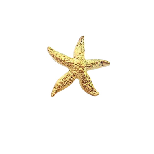 Starfish Pin